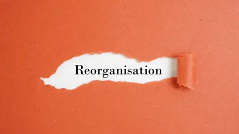 the word reorganisation behind a torn off strip of peach coloured paper against a peach background ben hda adobe stock