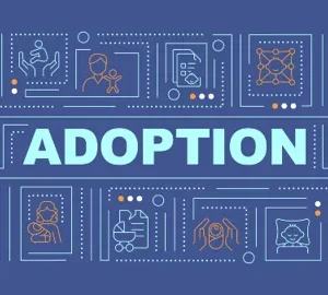 adoption concept image bsd studio adobestock 745623071